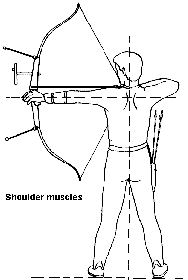 Keep your back
muscles under tension