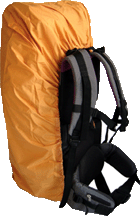 More Details and its Cost