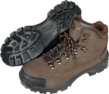 More Details and its Cost