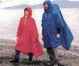 More Details and its Cost