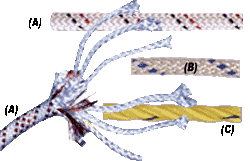 More Details and its Cost