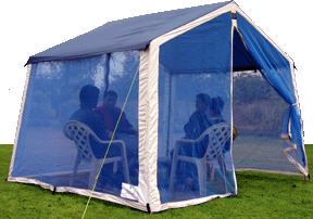 More Detail and its Cost