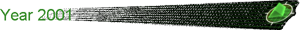 Year 2001