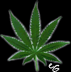 weedleaf.gif (7265 bytes)