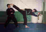 kungfu1.jpg (17405 bytes)