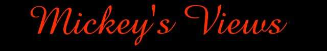 mickview.jpg (12062 bytes)