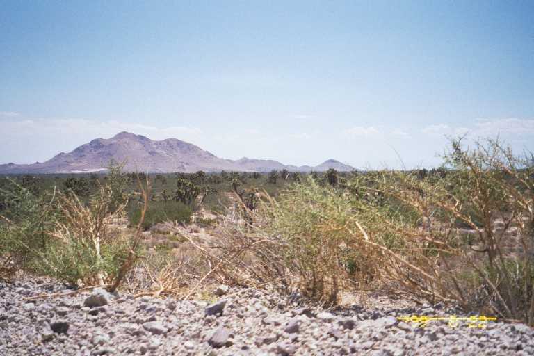 Mojave Desert (47k)