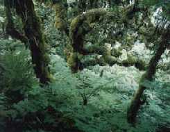 area813.jpg (9071 bytes)