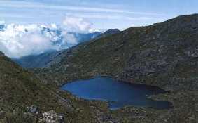 chirripo1.jpg (6406 bytes)