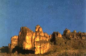 chirripo2.jpg (9469 bytes)