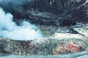 poas1.jpg (13516 bytes)