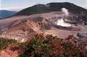 poas6.jpg (9677 bytes)