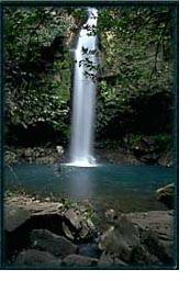 rincon1.jpg (18593 bytes)