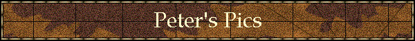 Peter's Pics