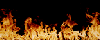 flamebar.gif (28560 byte)
