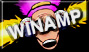 Winamp-MPEG audio player