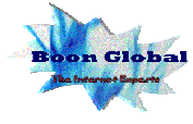 Boon Global, The Internet Experts