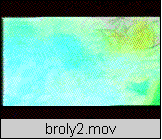 brolyz.gif (74040 bytes)