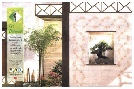 Natural / Click to see next