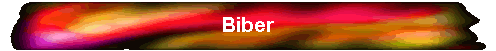 Biber