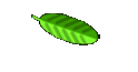 Biber