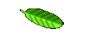 Drachen poppen