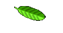 Forum