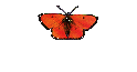 Foertsch- Der Untote