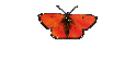 Bastard Operator