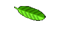 elepha~1.mpe