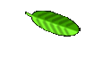 fischer.zip