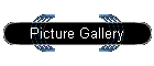 Picture Gallery