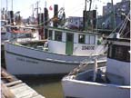 Shrimp Boat Port