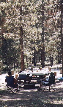 camp4.jpg (87586 bytes)