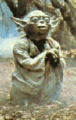 Yoda