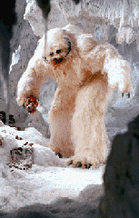 Wampa