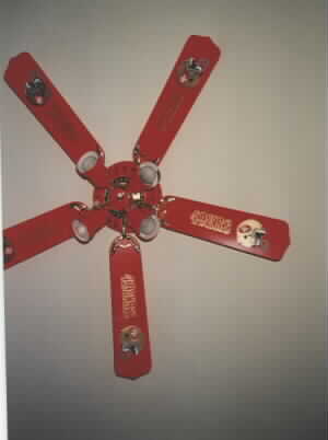 My Wife did this fan for me