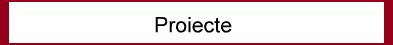 Proiecte