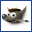 (The GIMP)