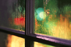 window.gif (29798 bytes)
