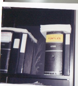 mirage26.jpg (54707 bytes)