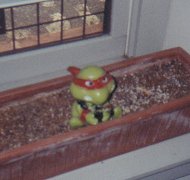 mirage43.jpg (8207 bytes)