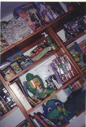 mirage5.jpg (41950 bytes)