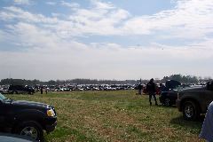 A lot of cars in the parking lot