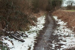 The muddy path of life