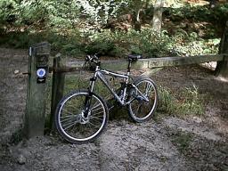 Top of Greensands Way, Leith Hill