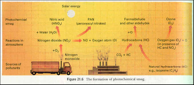 wpeD.jpg (28196 bytes)