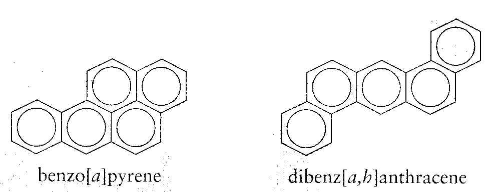 wpeD.jpg (35404 bytes)