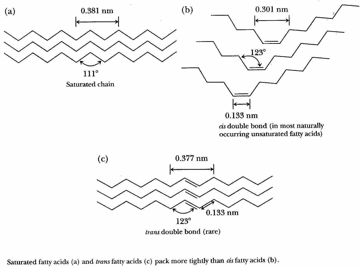 wpeB.jpg (111878 bytes)