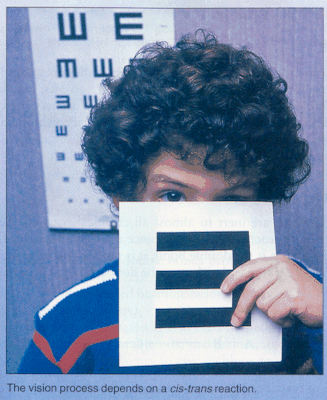 see1.gif (94489 bytes)